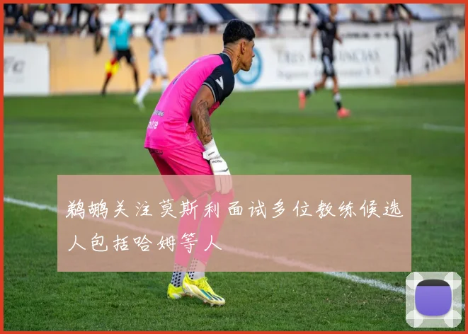 鹈鹕关注莫斯利面试多位教练候选人包括哈姆等人