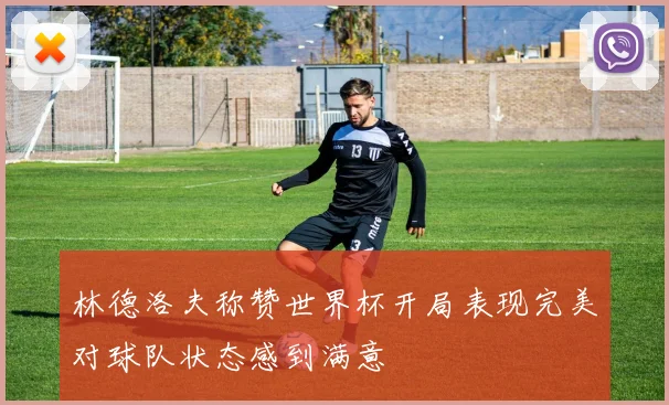 林德洛夫称赞世界杯开局表现完美对球队状态感到满意